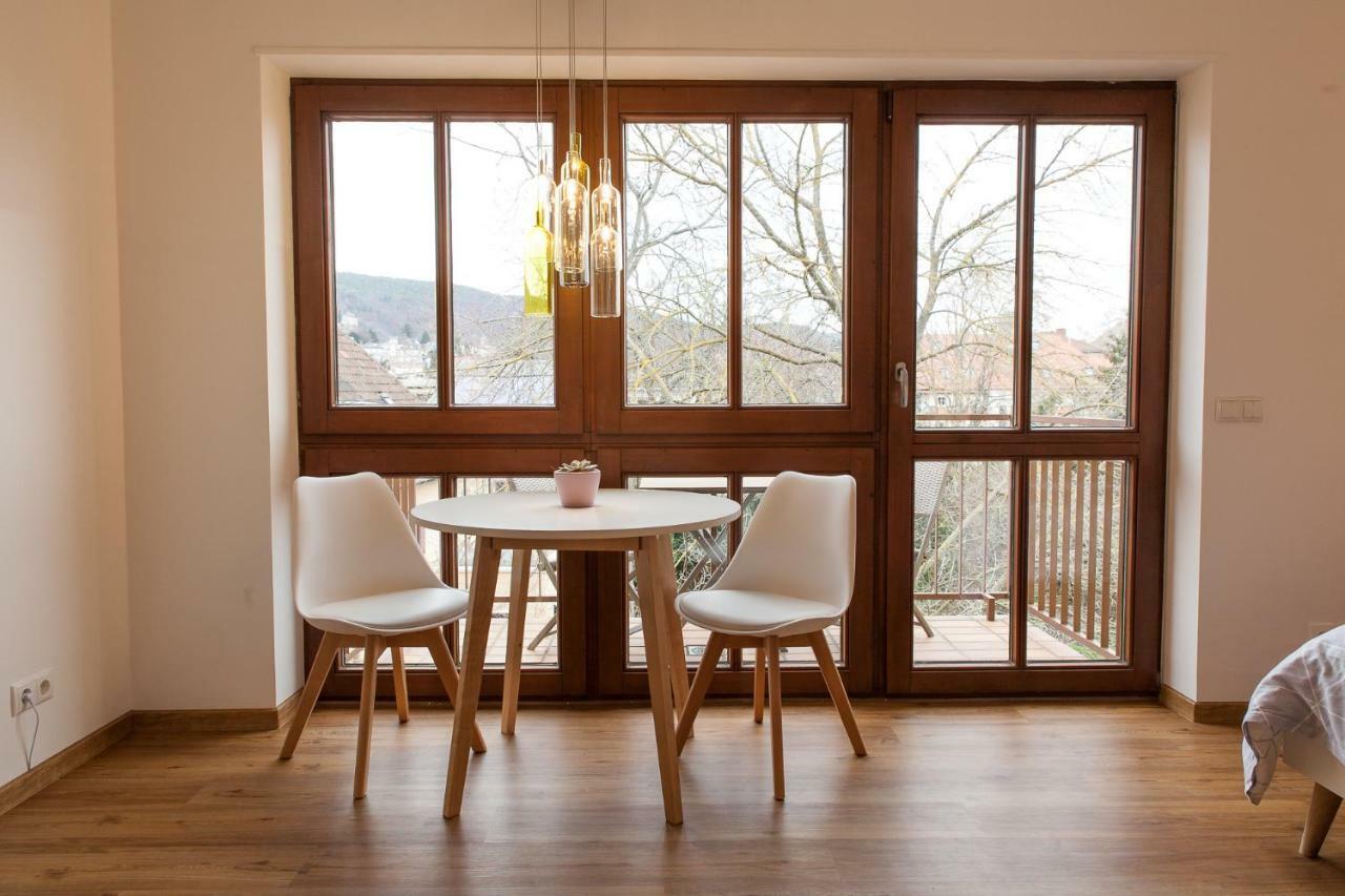 Modernes Studio Im Herzen Von Neustadt: Pfalzliebe Neustadt an der Weinstrasse Ngoại thất bức ảnh